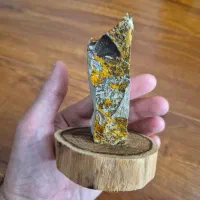 شجر دندریت جذاب، روی استند چوبی تنه درخت