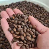 قهوه درجه یک  عربیکا ، ربوستا ، ۳۰*۷۰