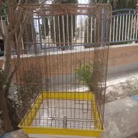 قفس بزرک وجادار