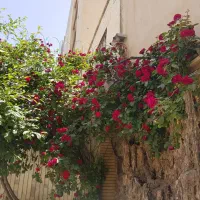 ویلایی در اعیان نشین بهار