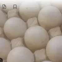 فروش تعدادی تخم اردک خارجی