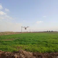 سمپاشی مزارع با پهپاد