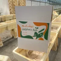 کارتن