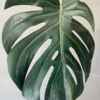 آموزش خصوصی و نیمه خصوصی نقاشی هایپرئال