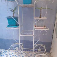 استندگلدان