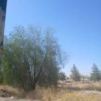سویت اجاره خیابان بوستان کوچه۷