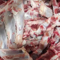 استخوان دنده مهره بره گوسفند عصاره غضروف