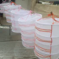 تولیدی سبد توری میوه و سبزی خشک کن