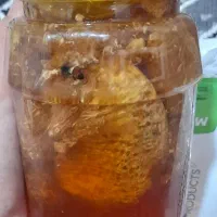 عسل محلی