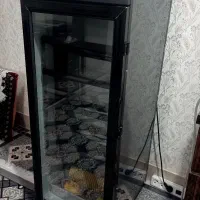 دستگاه جوجه کشی داتیکس 10