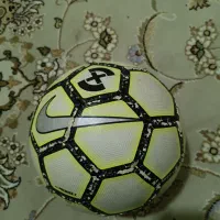 توپ چمنی اصل اصل