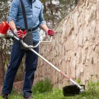 چمن زنی درمحدوده انزلی و غازیان پذیرفته میشود