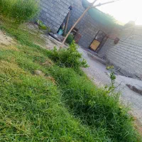 خونه-اجاره-ای-ویلای