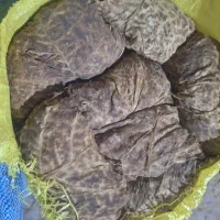 برگ زرد امسال