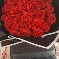 گل روبانی شاین دار
