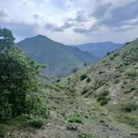 سم و کود و اتصالات