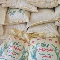 برنج عنبر بو خوزستان