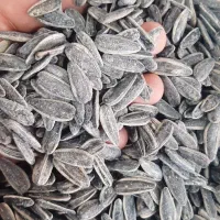 تخمه ایرانی