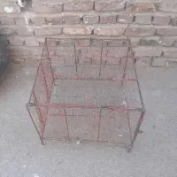 قفس