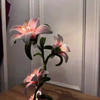 چراغ خواب فانتزی