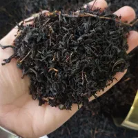 قلم درجه یک بهاره لاهیجان