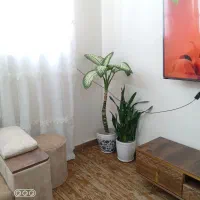 فروش ۲ عدد گل و گیاه