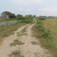 200متری-پلاک-اول-جنگل-گنجیاب