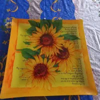 دبه|ظروف نگهدارنده، پلاستیکی، یک‌بارمصرف|رشت, چله خانه|دیوار
