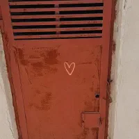 در گنجه کفتری