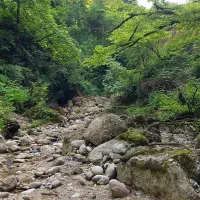 فروش-باغچه