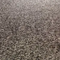 پالاز موکت