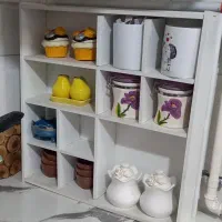 استند جا ماگی