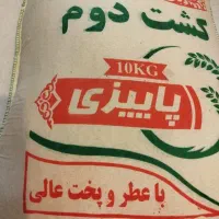 برنج طارم کشت دوم