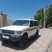 پاجیرو پلیس راهی سالم