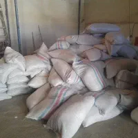 فروش سبوس گندم