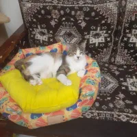 نبات خانم مهربون درشرف رهاسازی