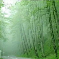 تور ایرانگردی گیلانگردی