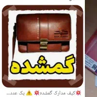 کیف مدارک گم شده