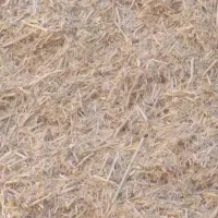 فروش کاه زیر قیمت همه جا گوسفند و گاو