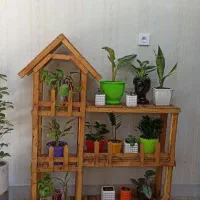گلخانه