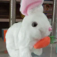 خرگوش