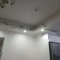 گل .|گل و گیاه طبیعی|تهران, عباسی|دیوار