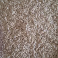 برنج|خوردنی و آشامیدنی|یاسوج, |دیوار