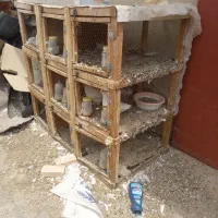 قفس جفت دونی