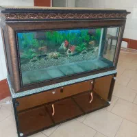 فروش یک عدد اکواریم شیک و دیدنی