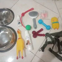 پارک سگ  قلاده شانه در ظرف آب و غذا شامپو و