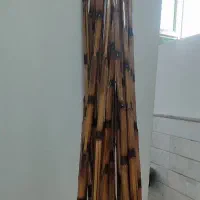 چوب بامبو