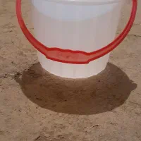 سطل ماست تازه دونه ای  ۳۰۰۰۰هزارتومان