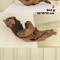 آبنوس چوب پلنت اکواریم