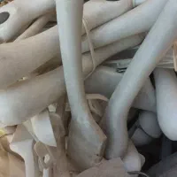 چوب لباسی